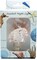 Sea Shell Night Light Pink Murex Shell Nautical Night Light Home Décor